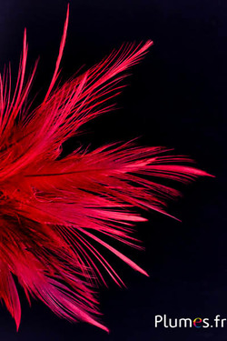 Grue - 12-14 cm - rouge